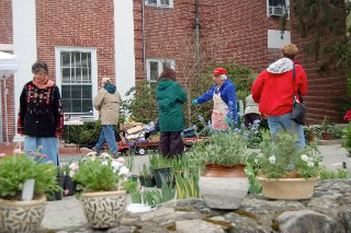 Plant Sale