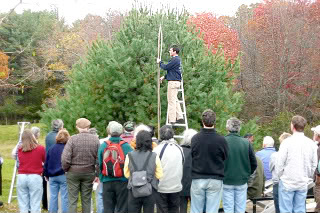 Pruning Workshop