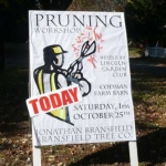 pruning-workshop