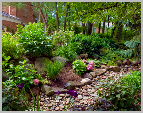 Lincoln Garden Club November program: Rain Gardens with Gardening by Demetra